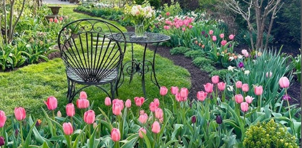 challenge background