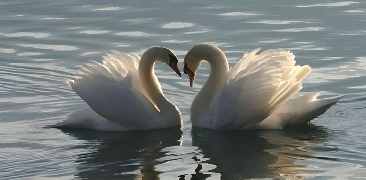 challenge background