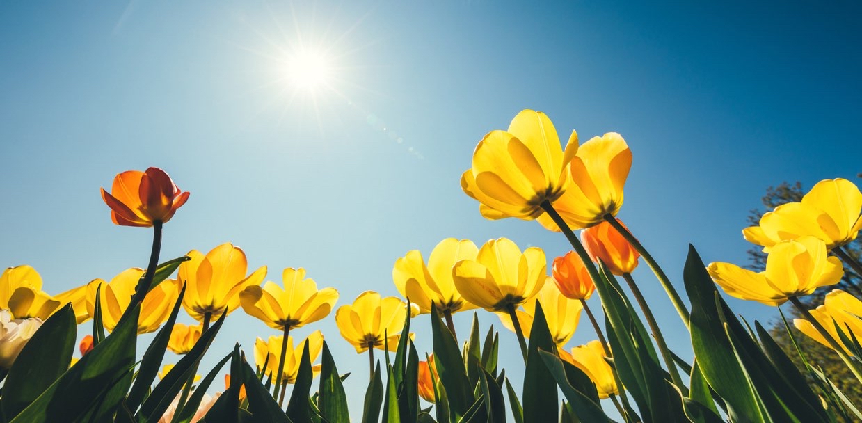 challenge background