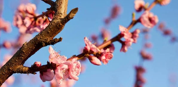 challenge background