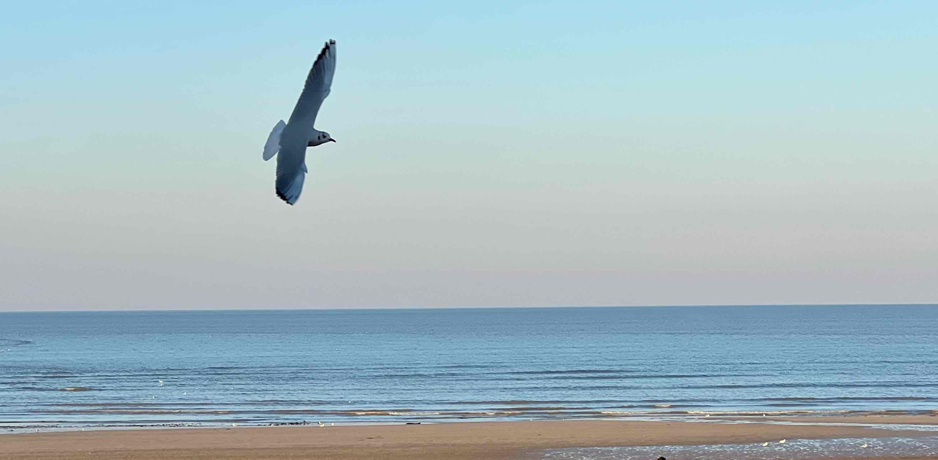 challenge background