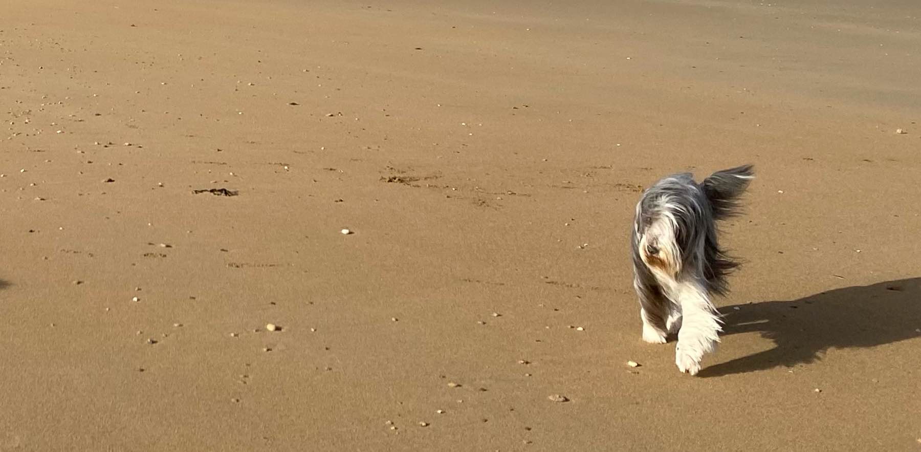 challenge background