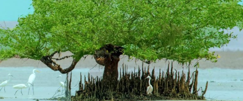 challenge background