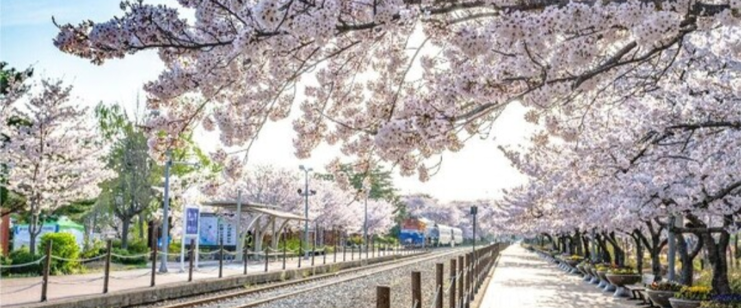 challenge background