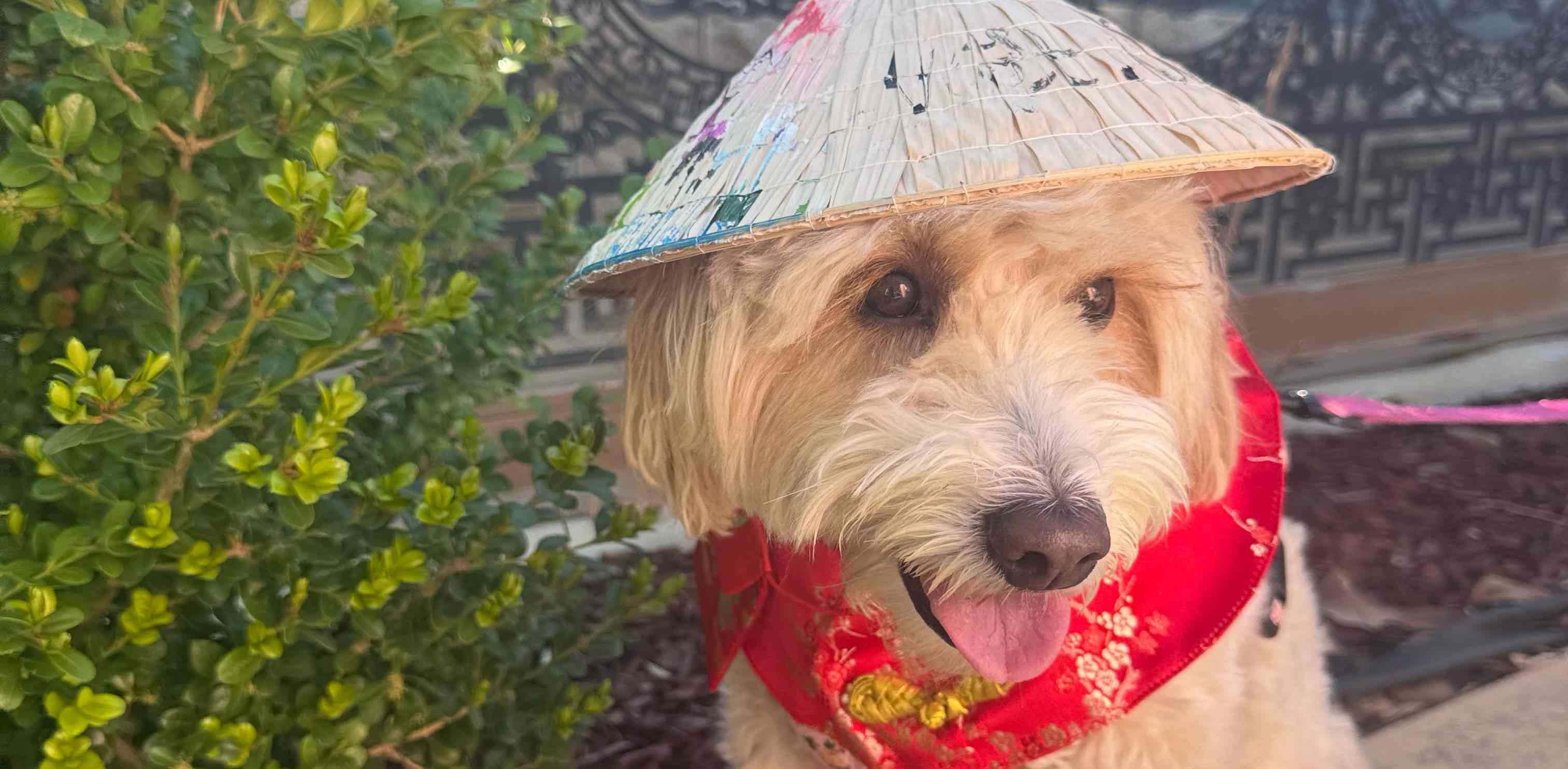 challenge background