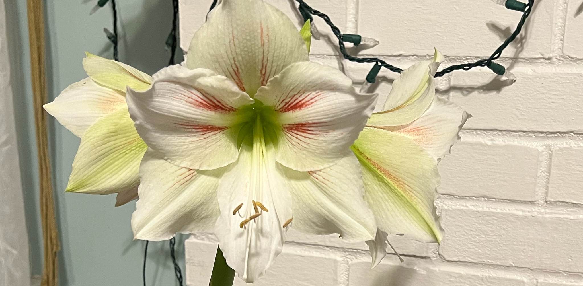 challenge background