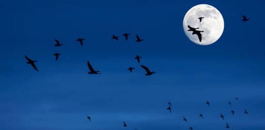 challenge background