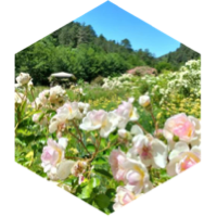 π SPRING π 15 000 ππͺ²π¦ββ¬ icon