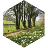 🌾🪷 Et si c’était le Printemps 🪻🌷 icon