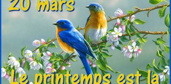 ๐ธ๐ฑ Enfin le Printemps ๐ธ 6000๐ชท logo
