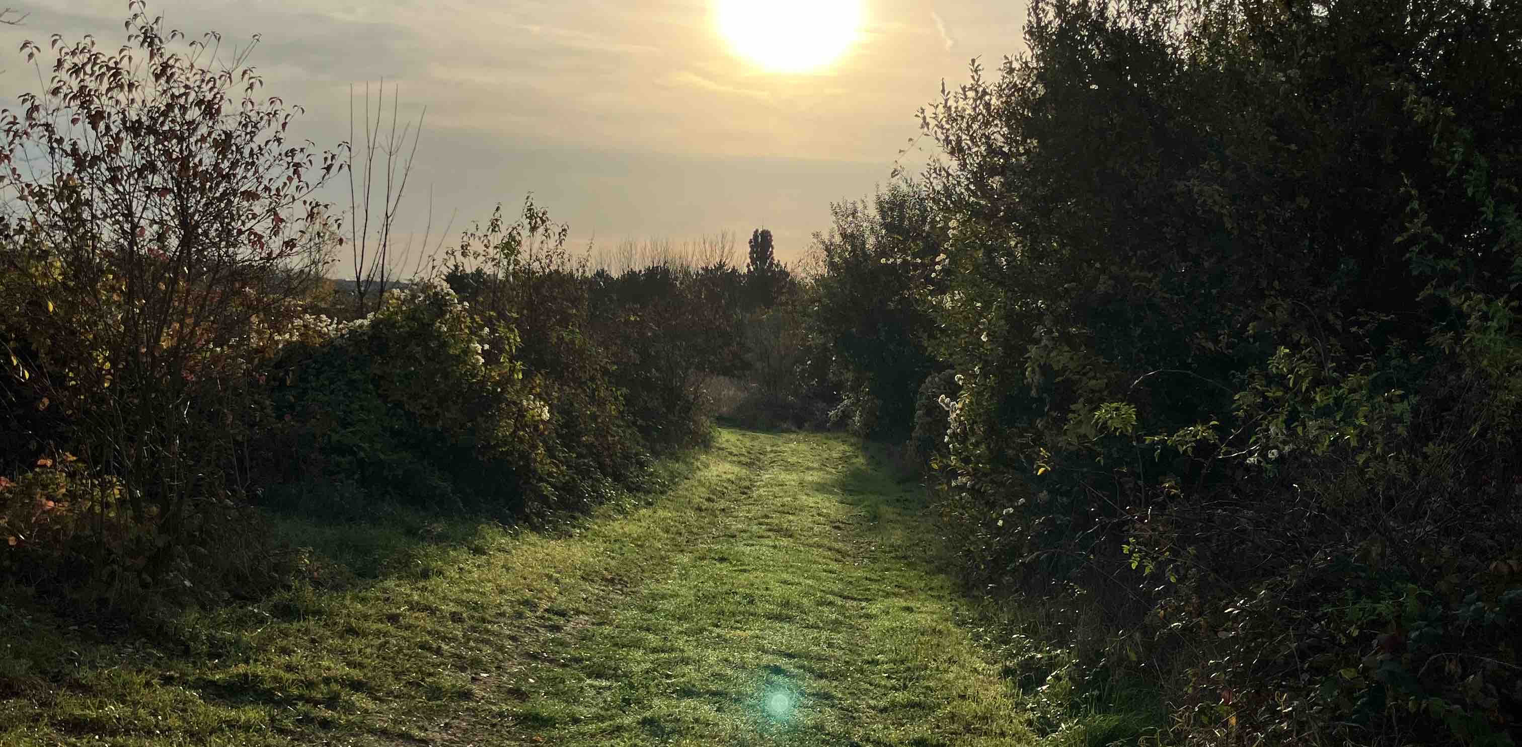 challenge background