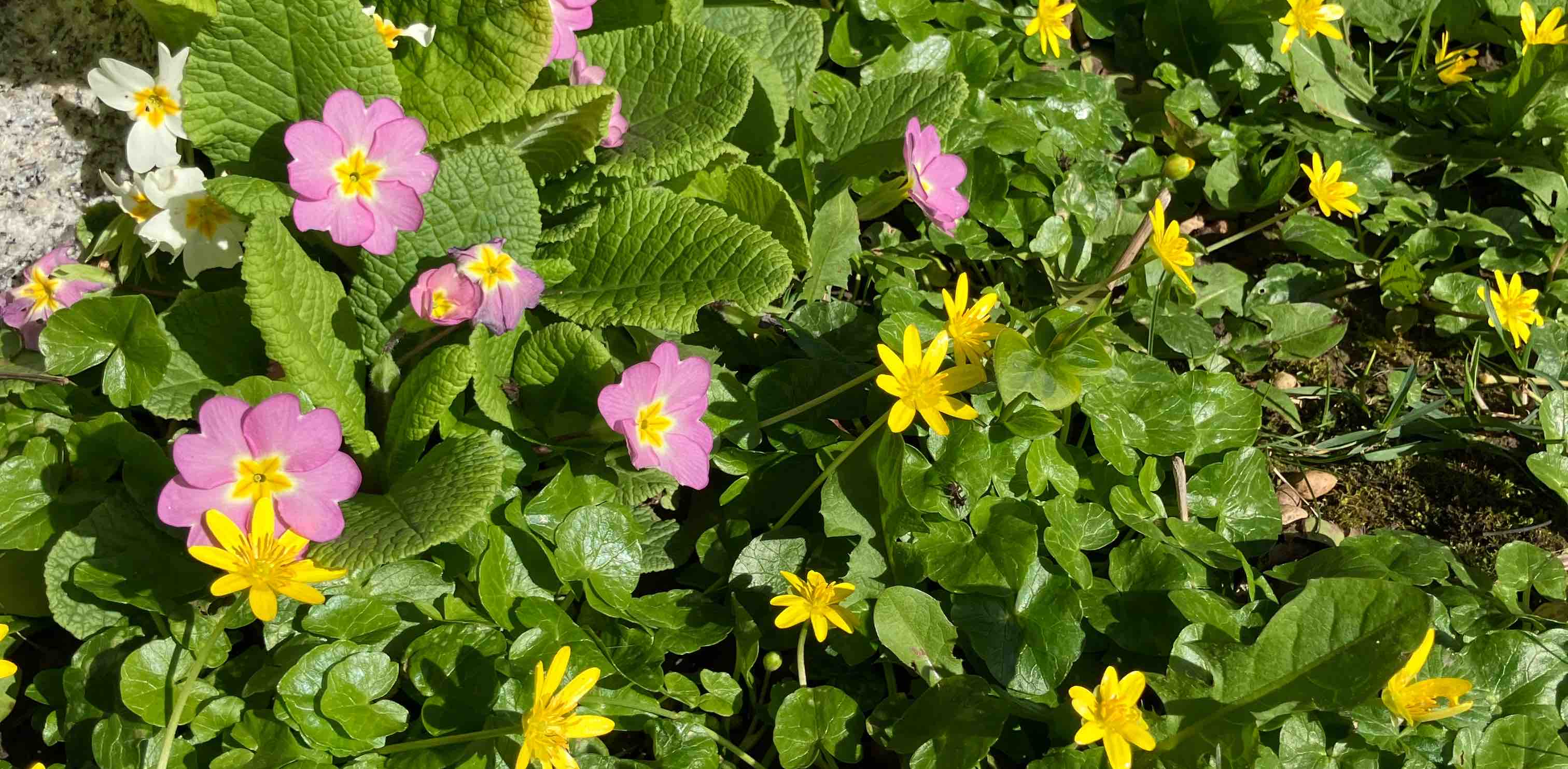 challenge background