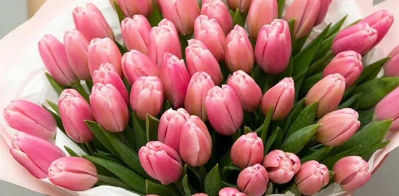 Мартовская шагалка 🌷🌷🌷 logo