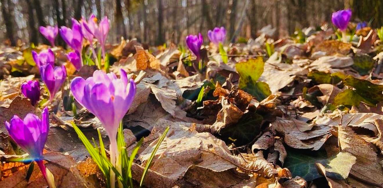 challenge background