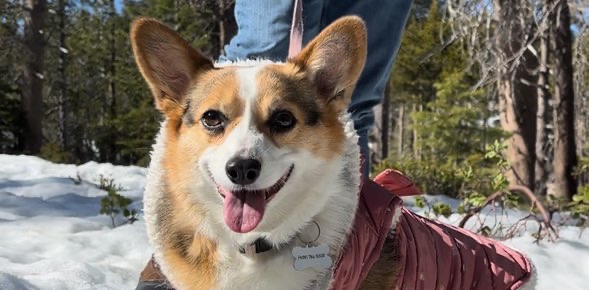 challenge background