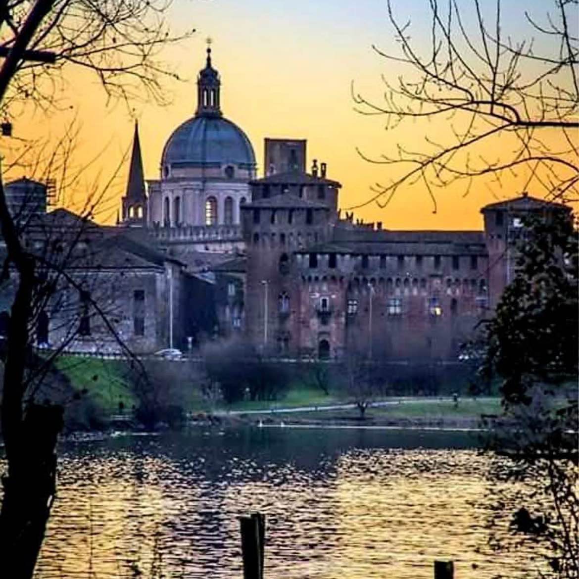 Mantua me genuit logo