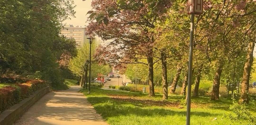 challenge background