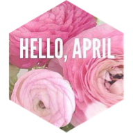 April Distance (8 mile limit) icon