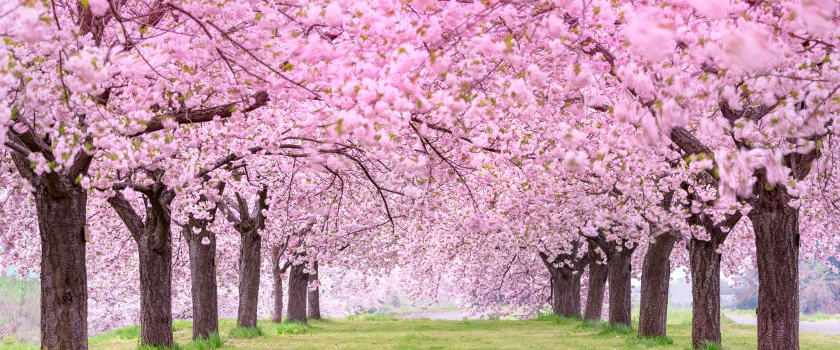 challenge background