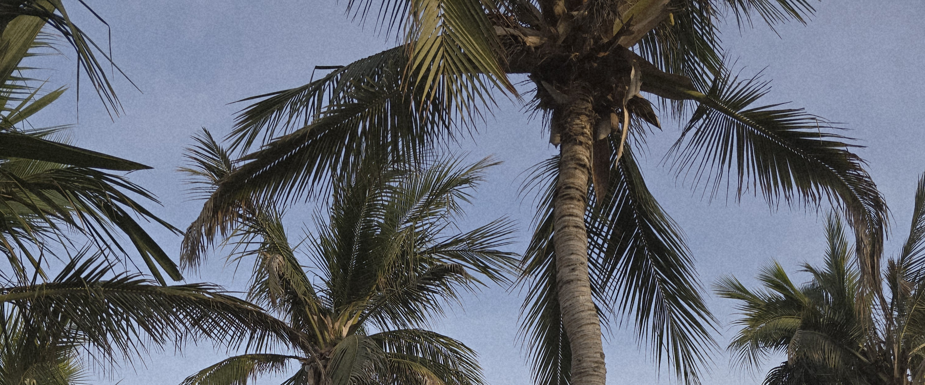 challenge background