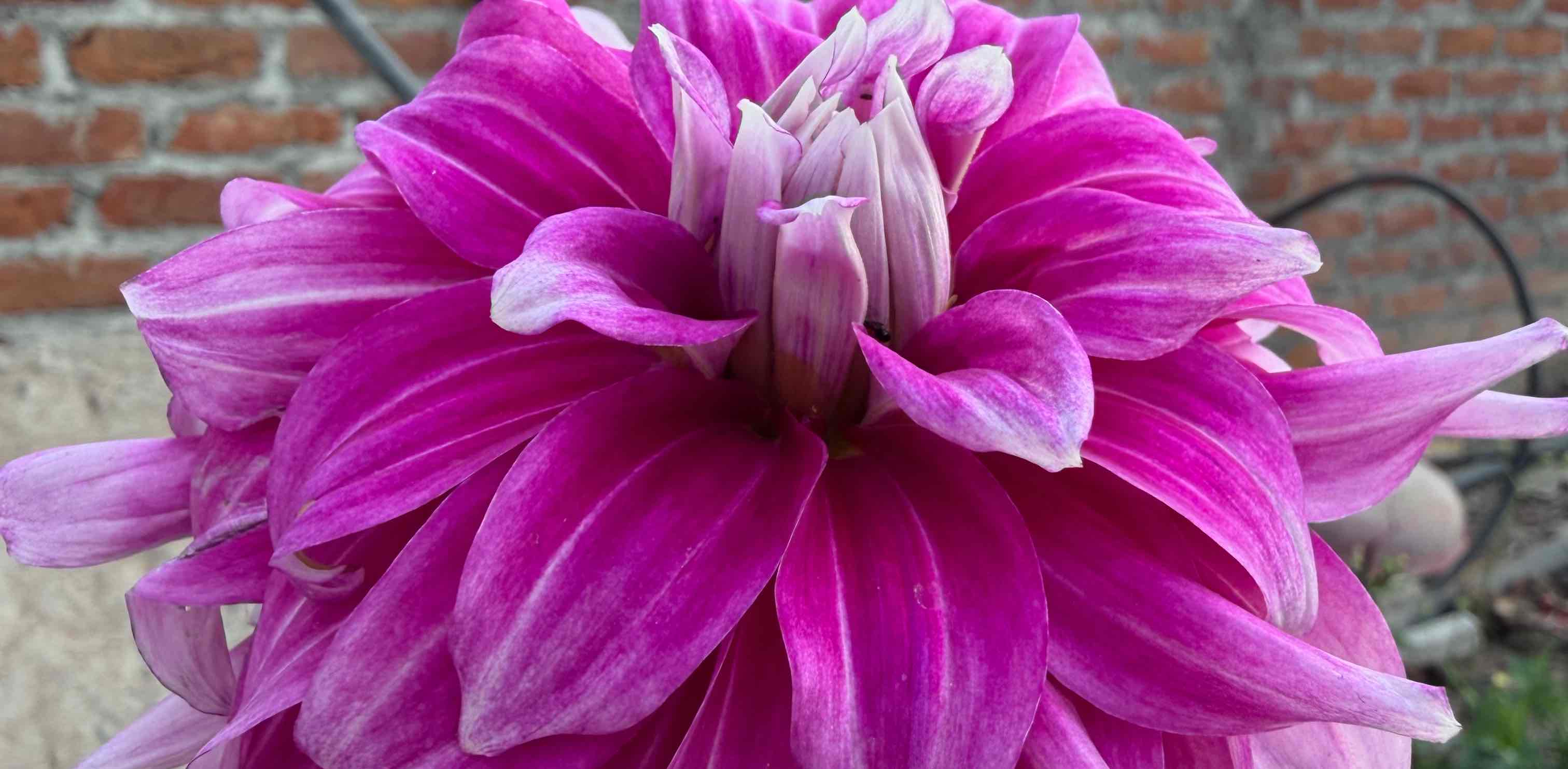 challenge background