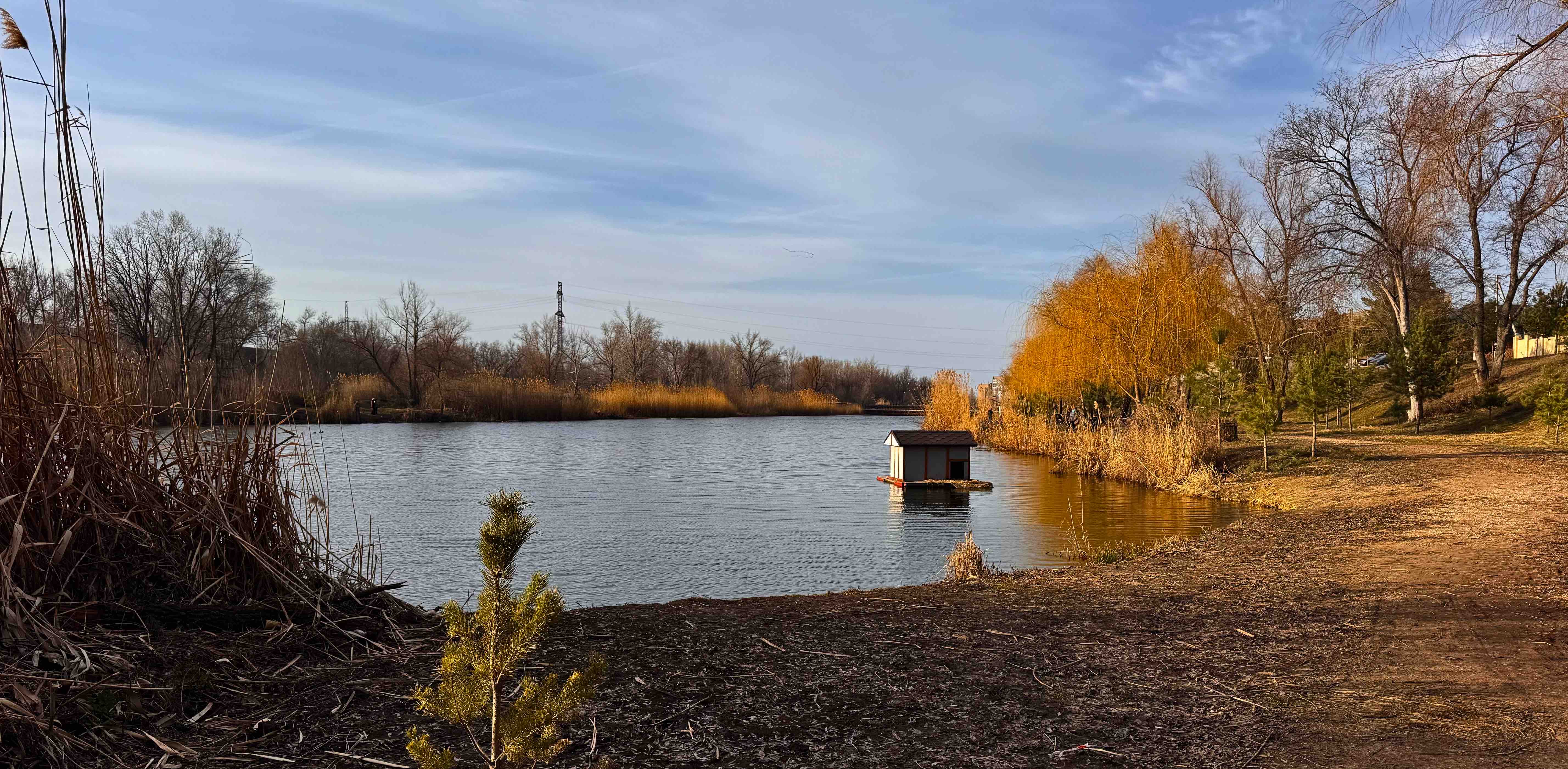 challenge background