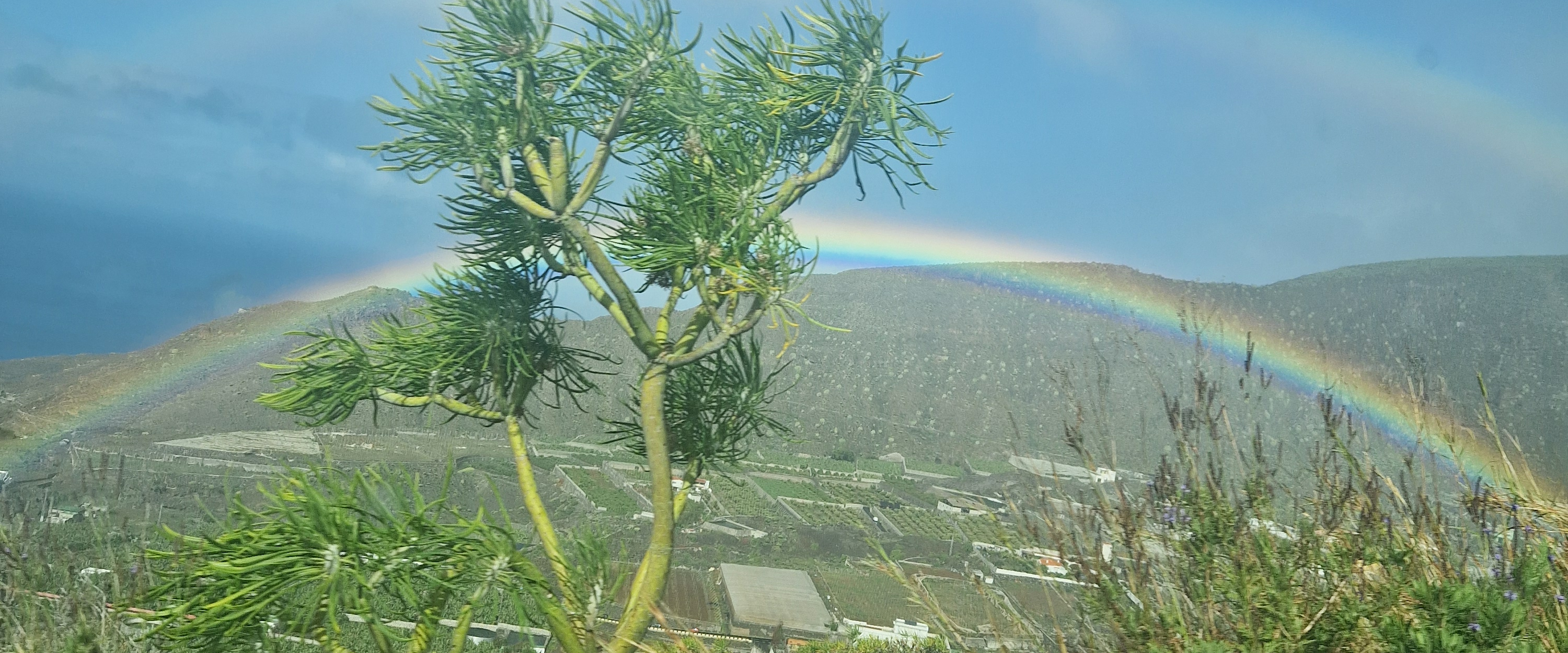 challenge background