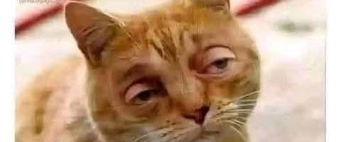 challenge background