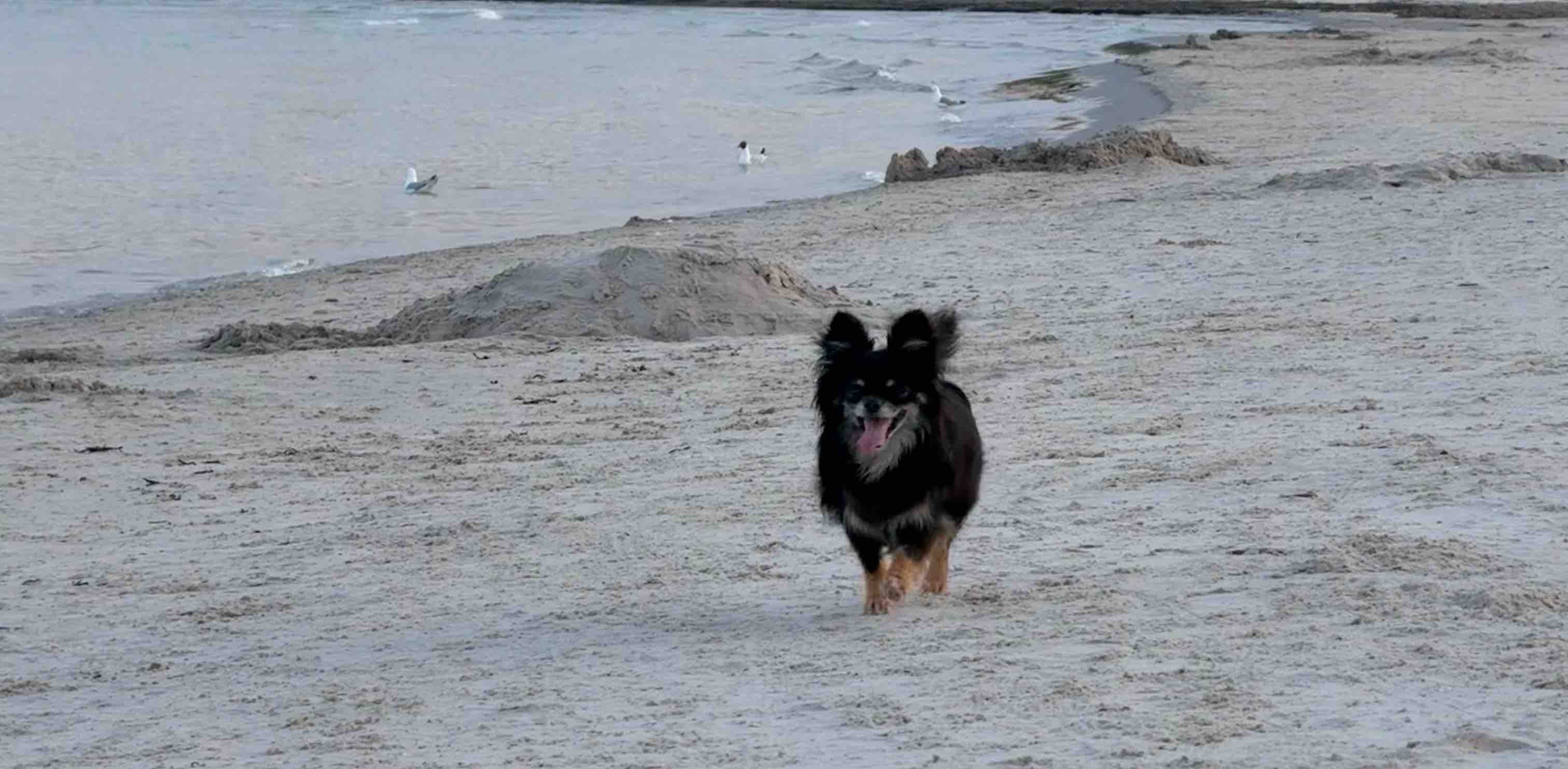 challenge background