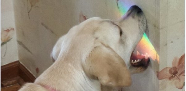 challenge background