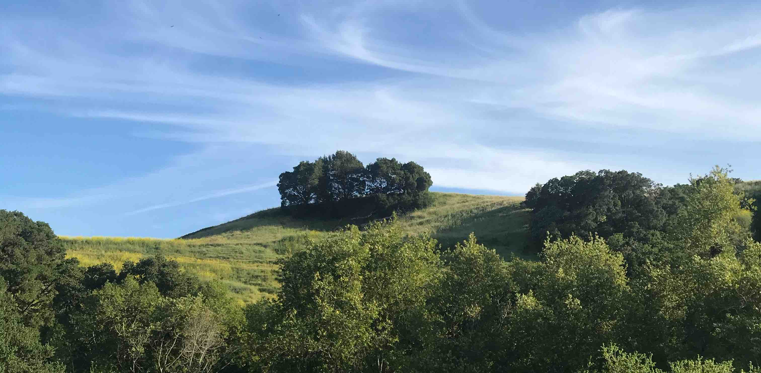 challenge background