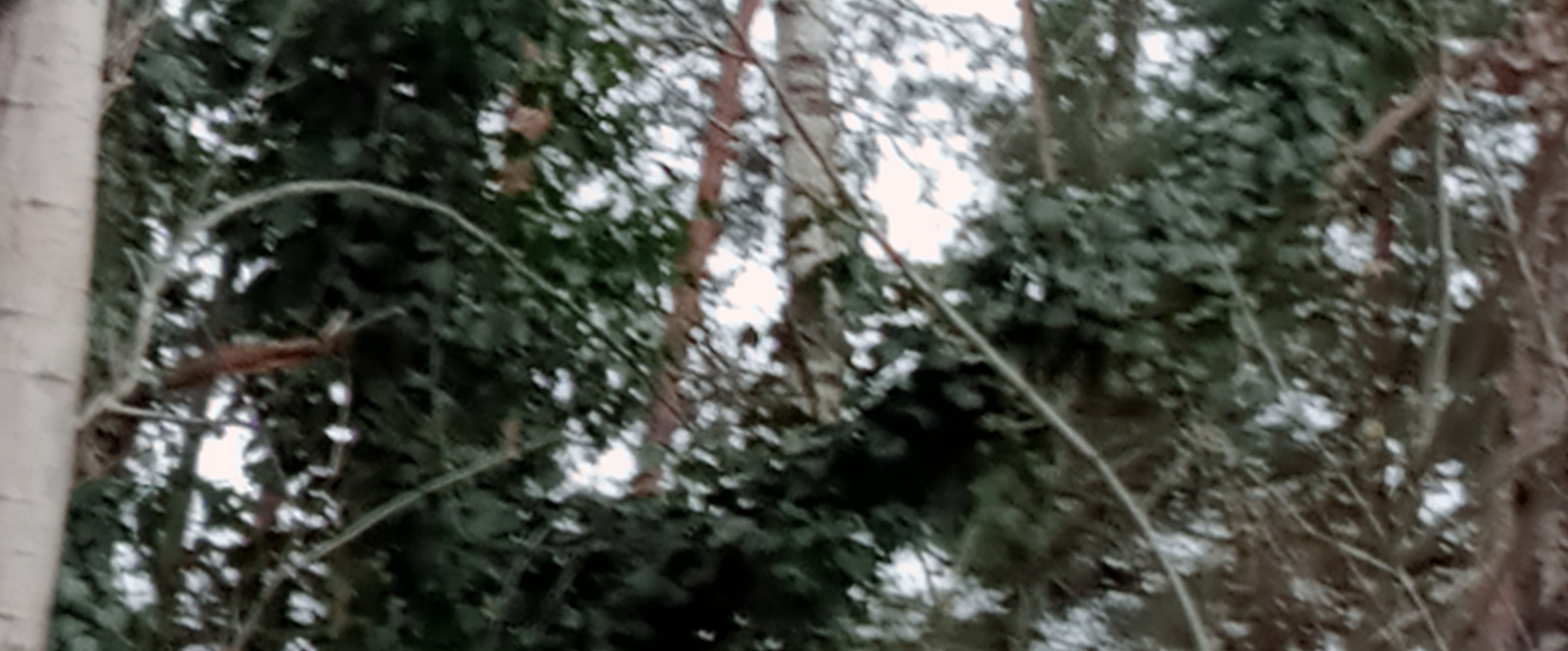 challenge background