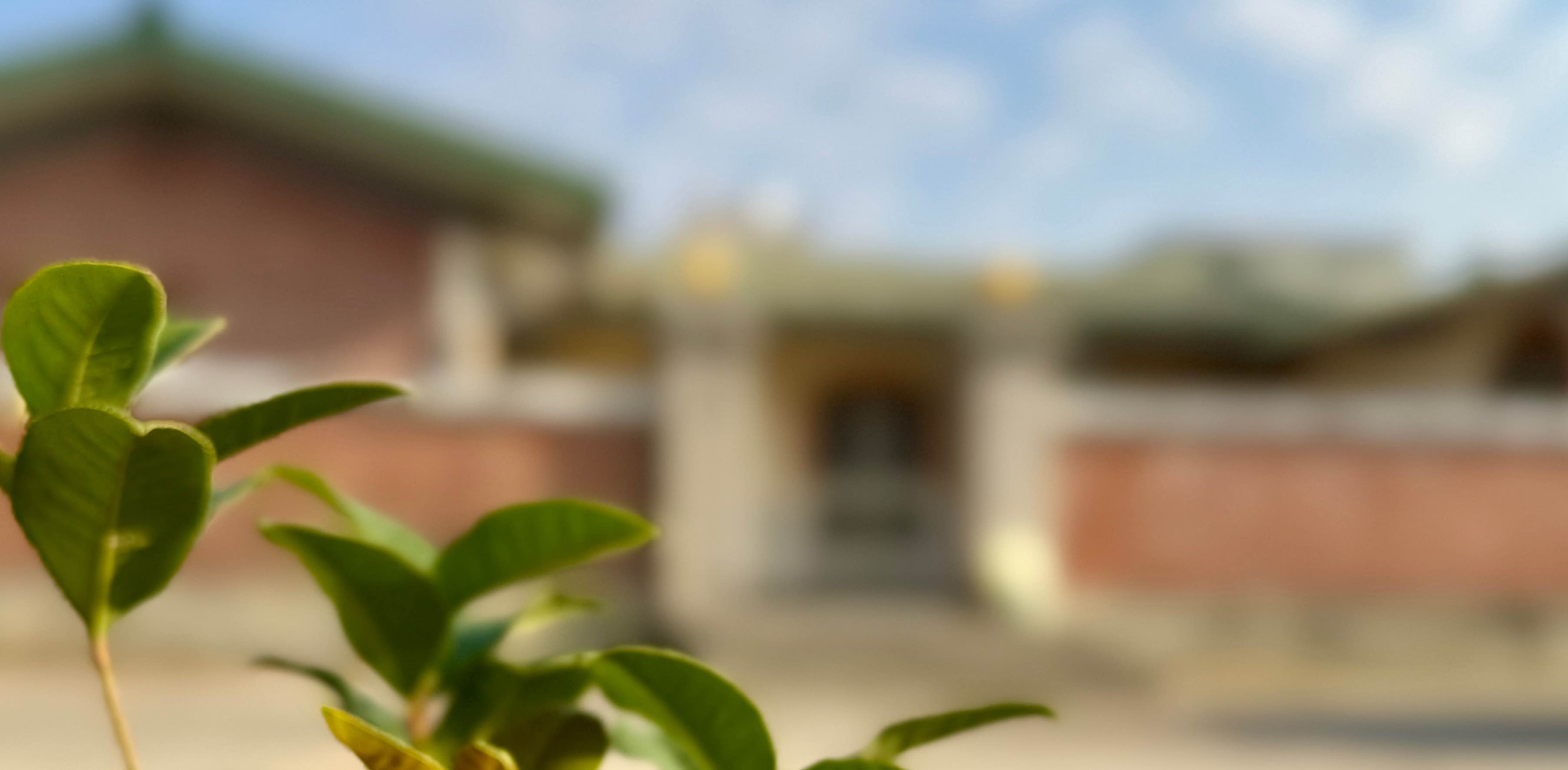 challenge background