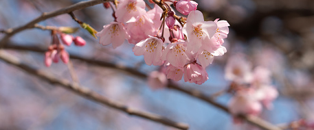 challenge background