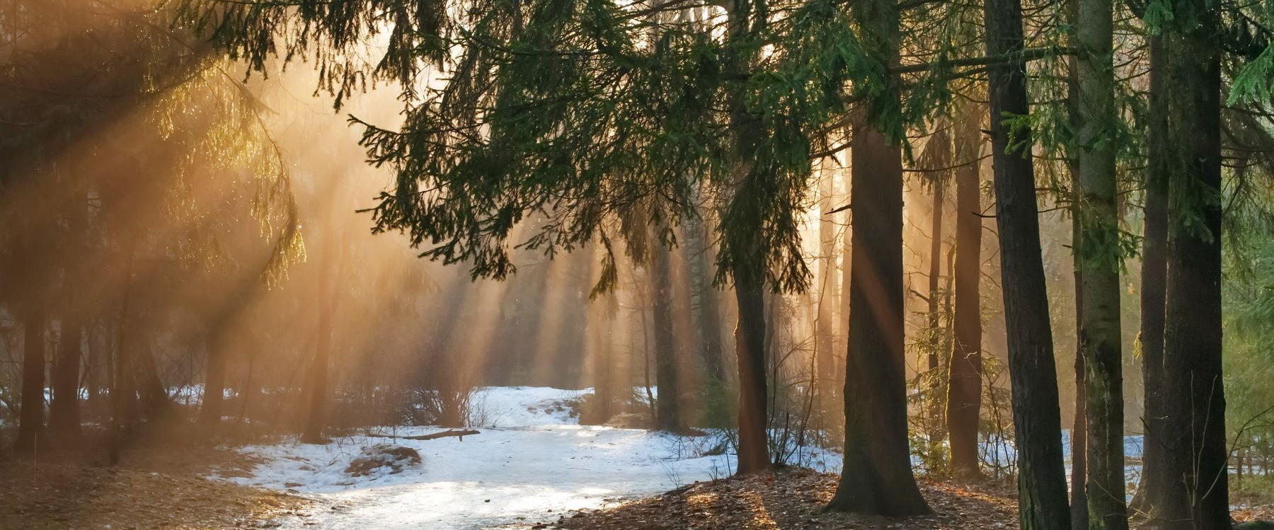 challenge background