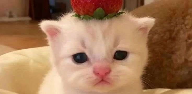 challenge background