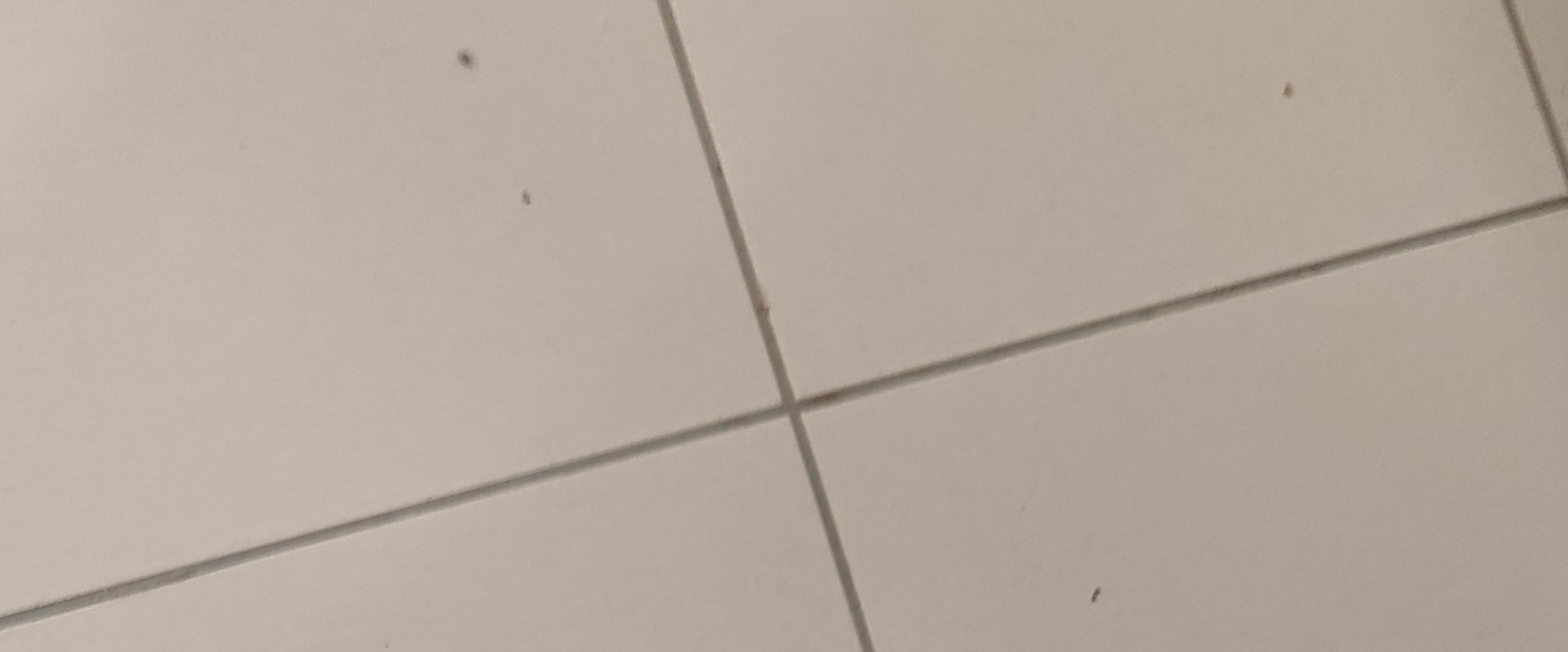 challenge background