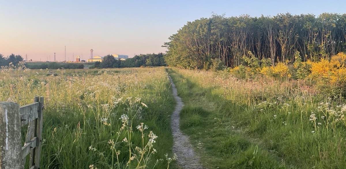 challenge background