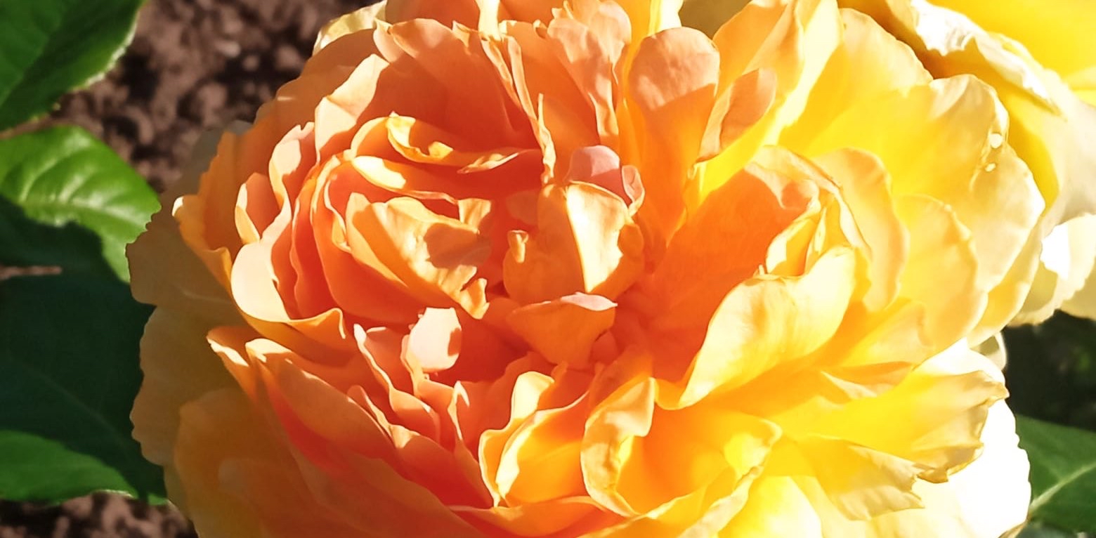 challenge background