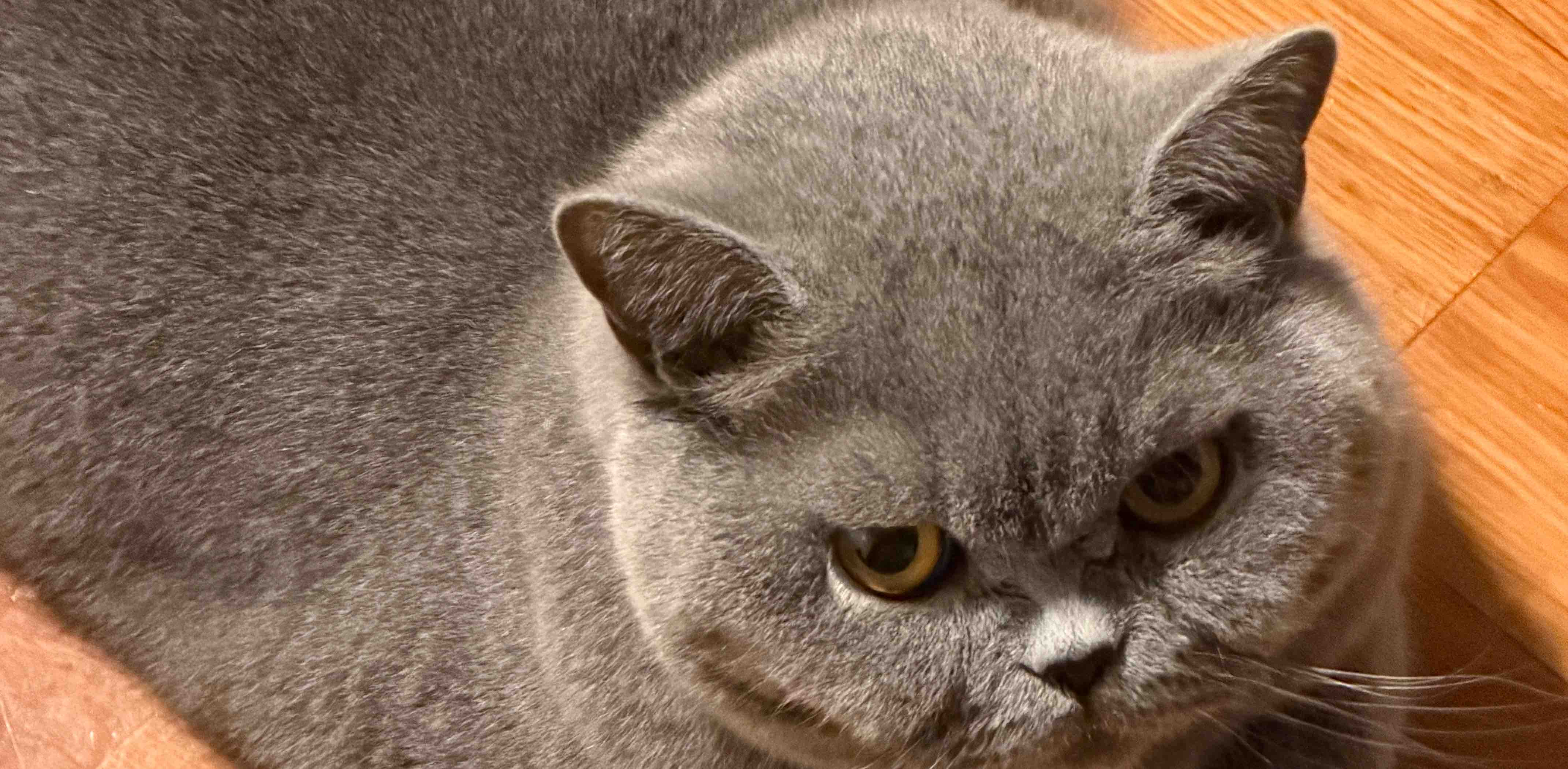 challenge background