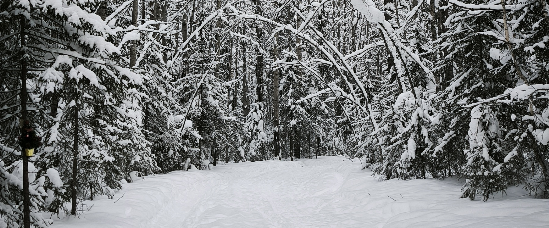 challenge background