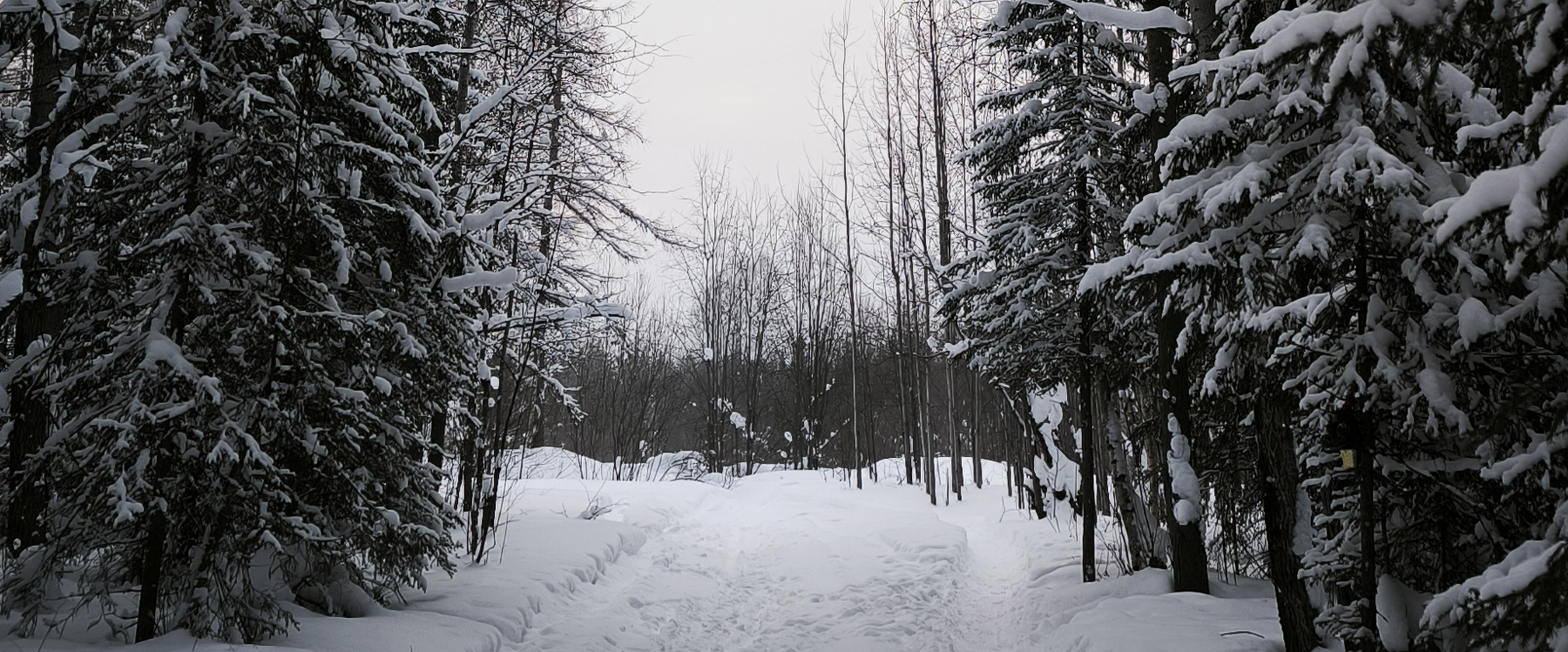 challenge background