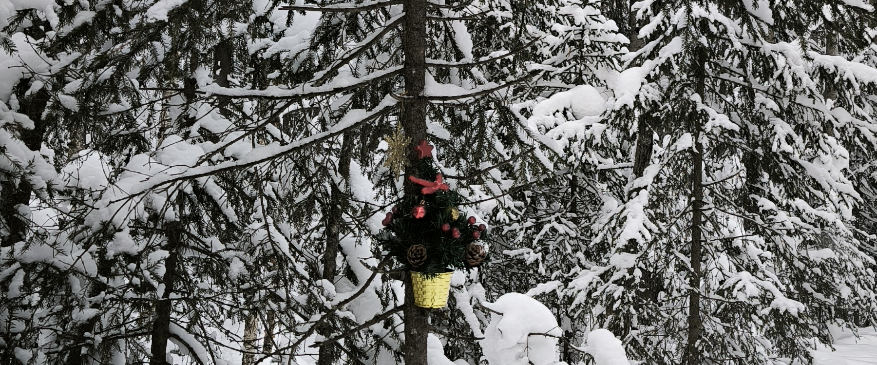 challenge background