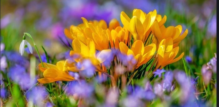 challenge background