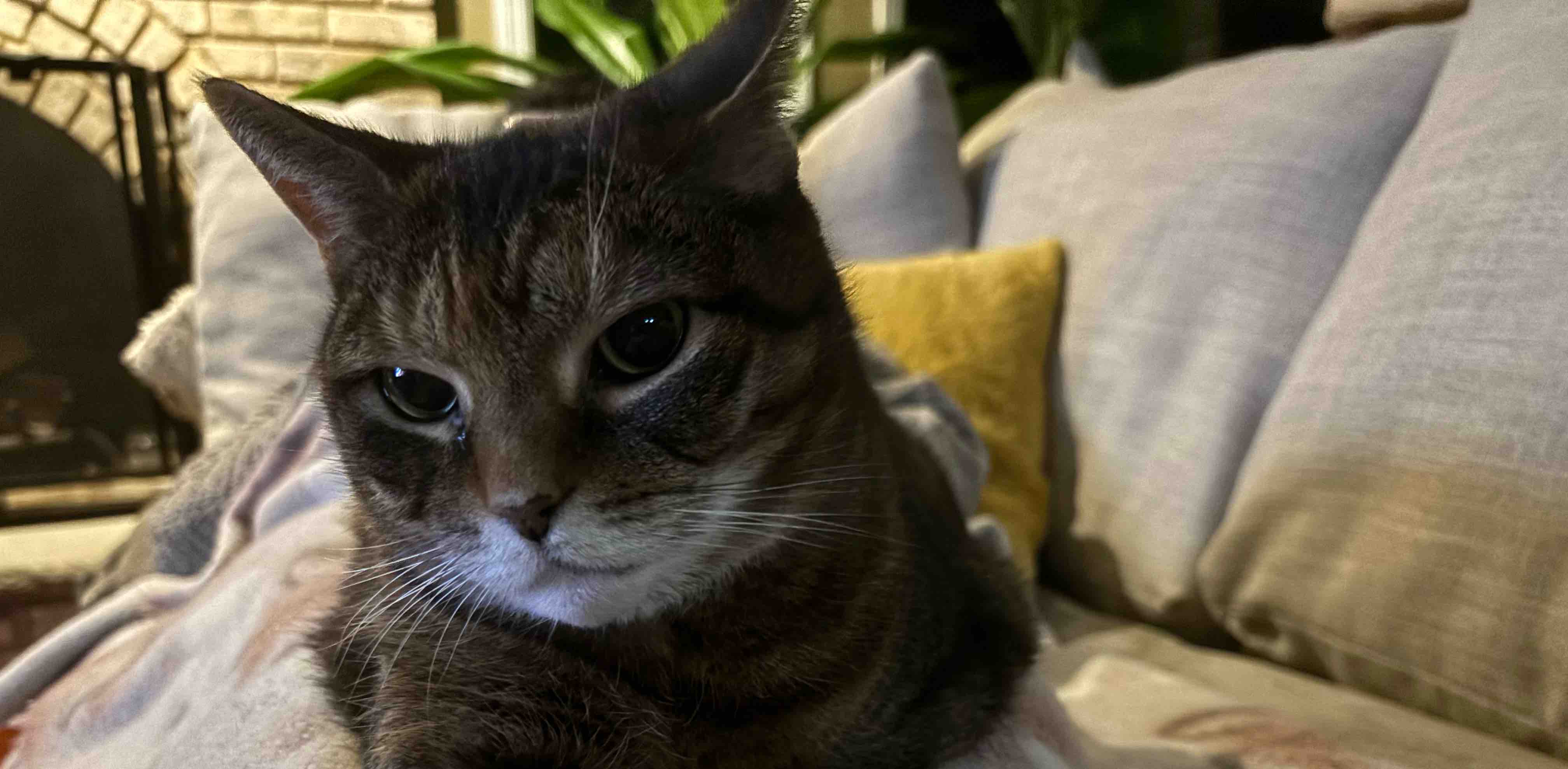 challenge background