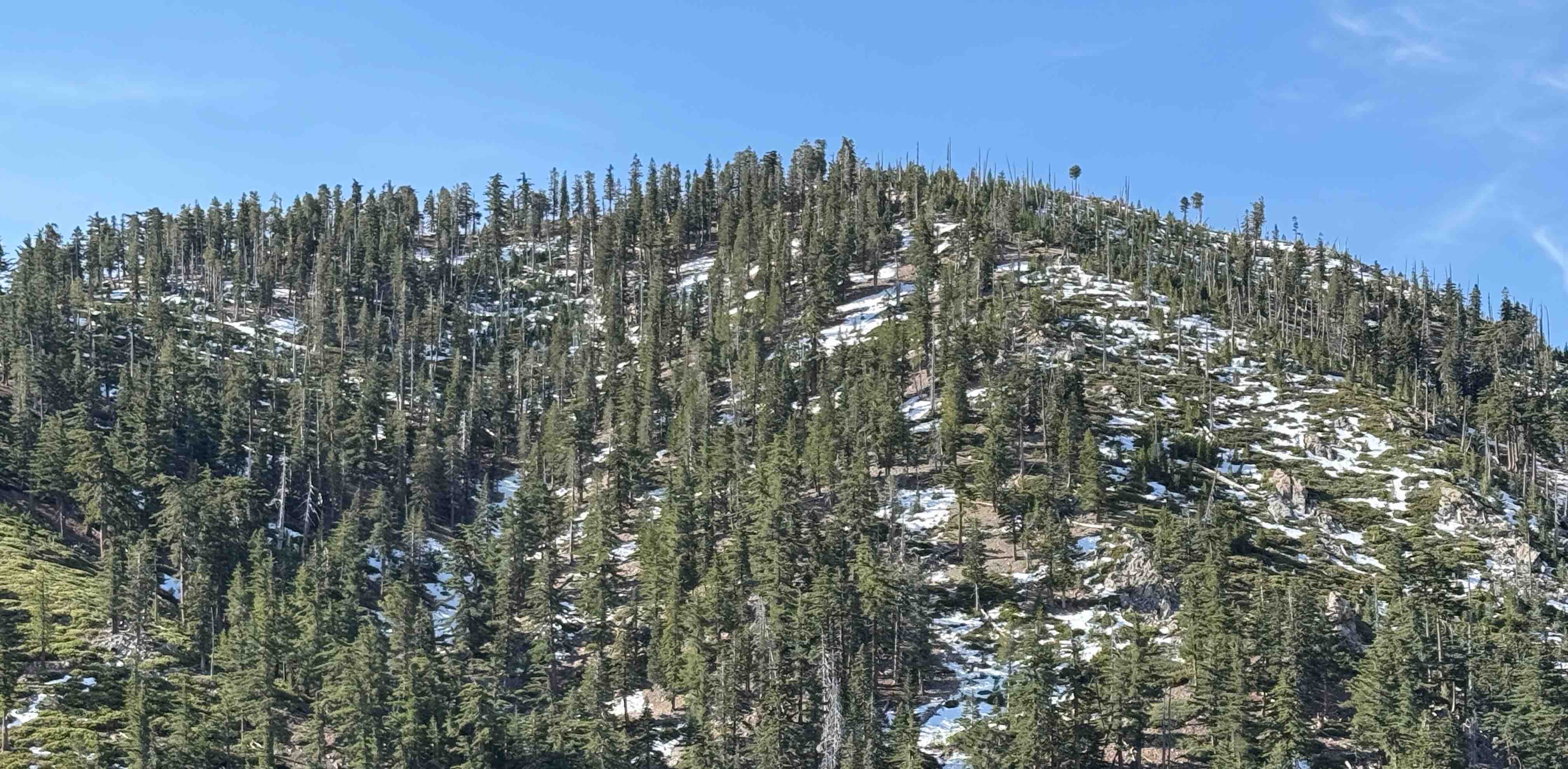 challenge background