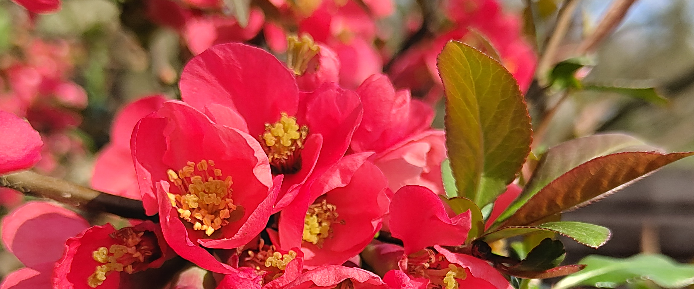 challenge background