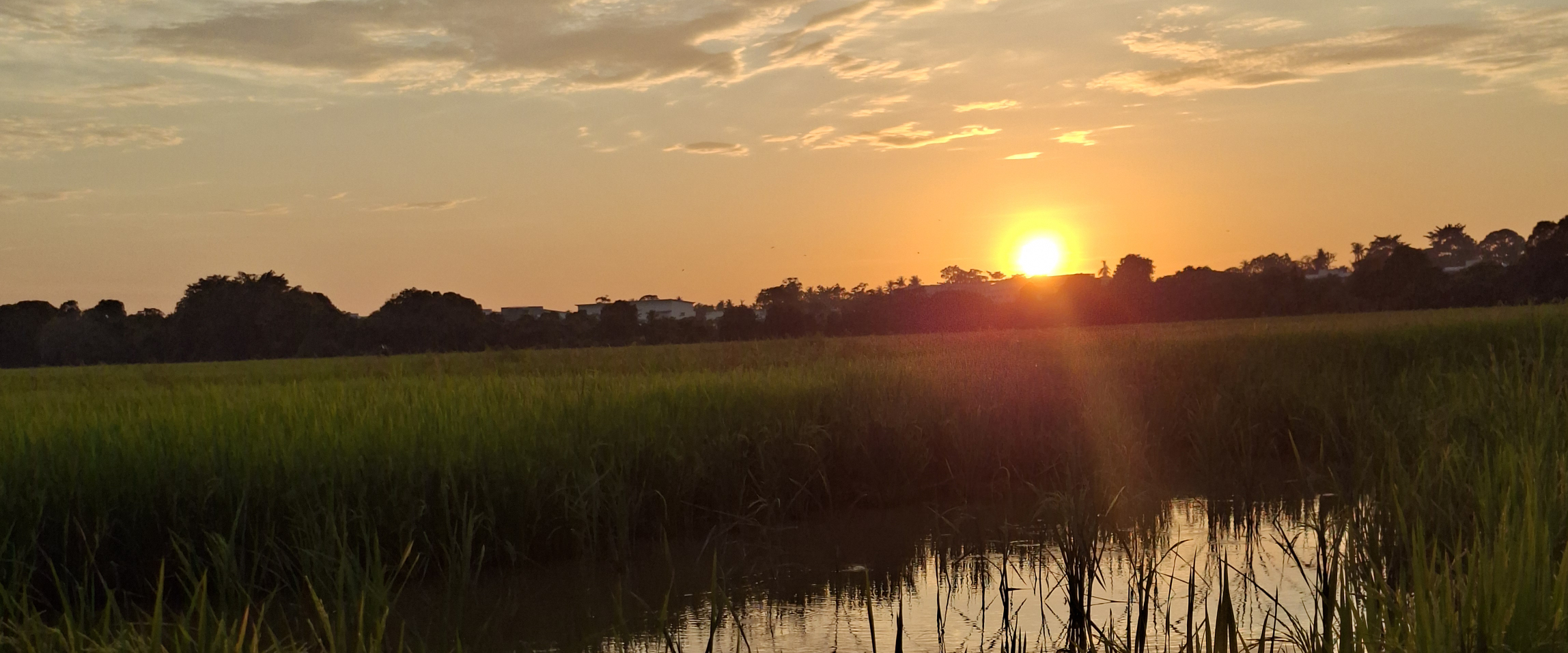 challenge background