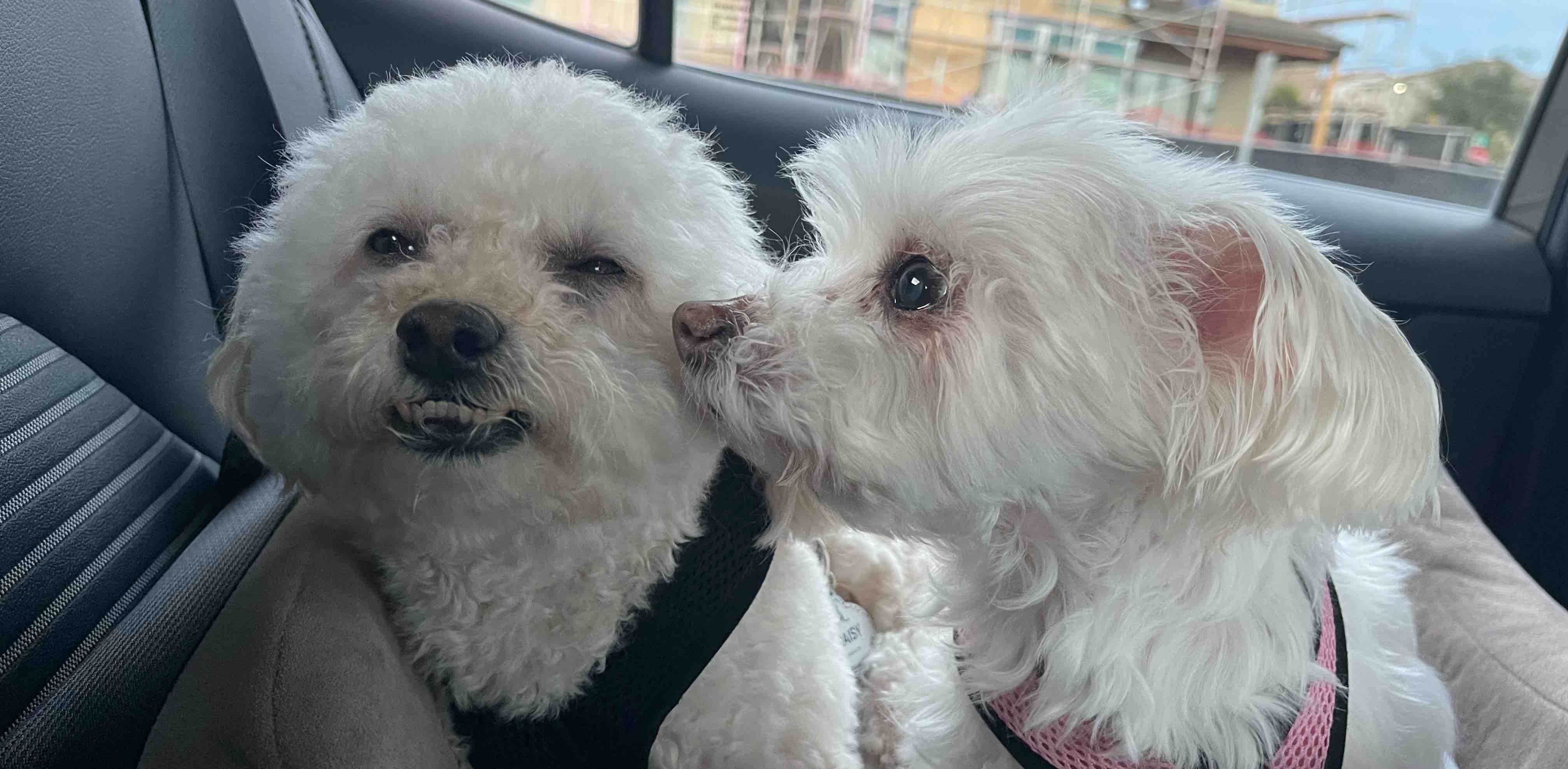 challenge background