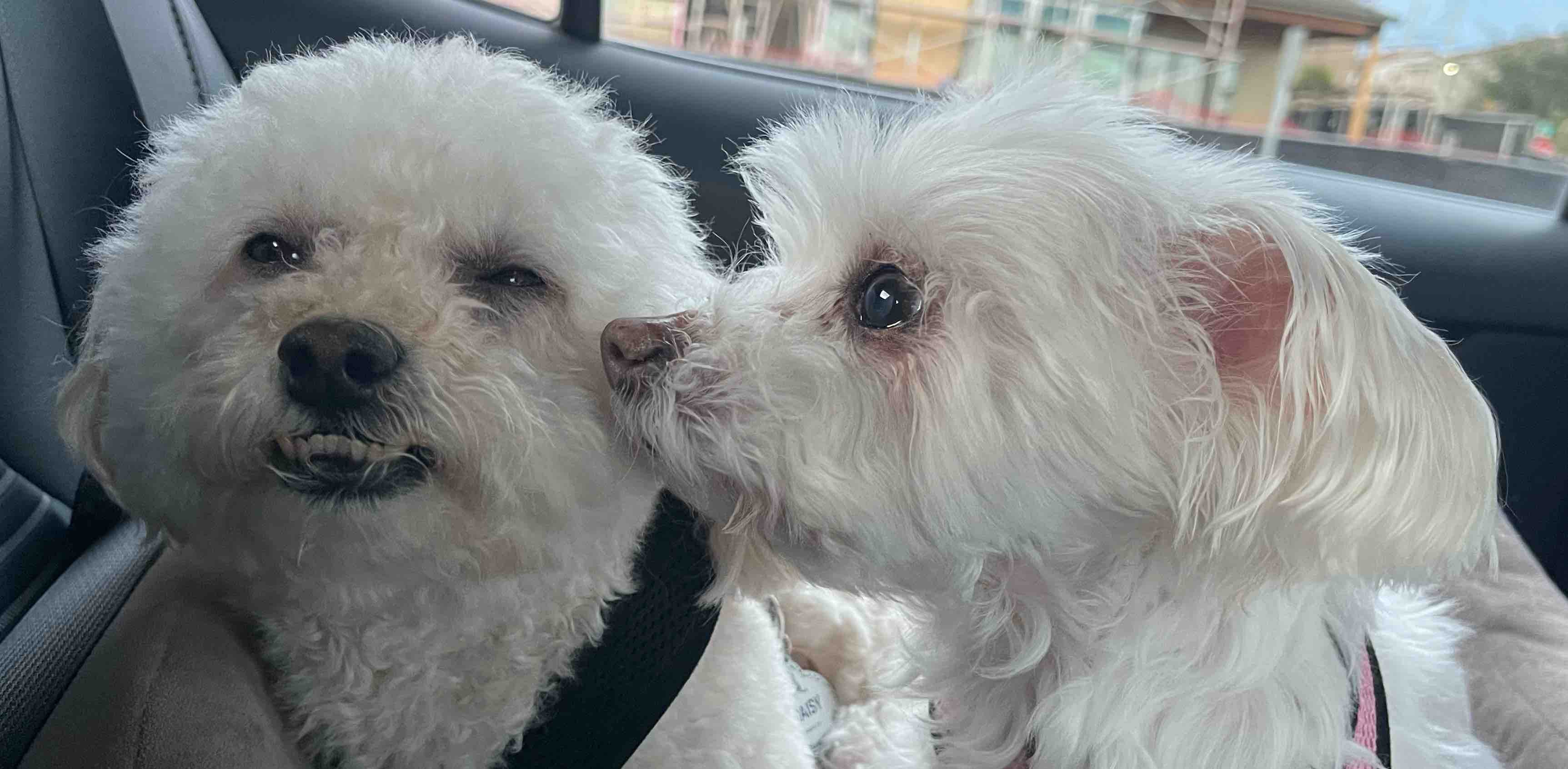 challenge background